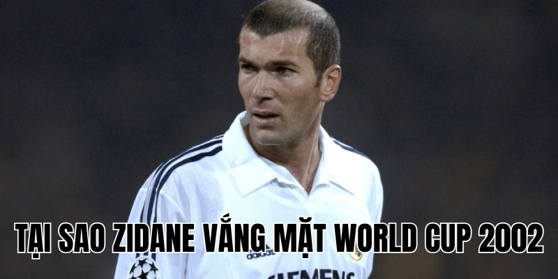 Tại Sao Zidane Vắng Mặt World Cup 2002