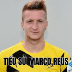 Tiểu Sử Marco Reus