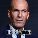 Tiểu Sử Zidane